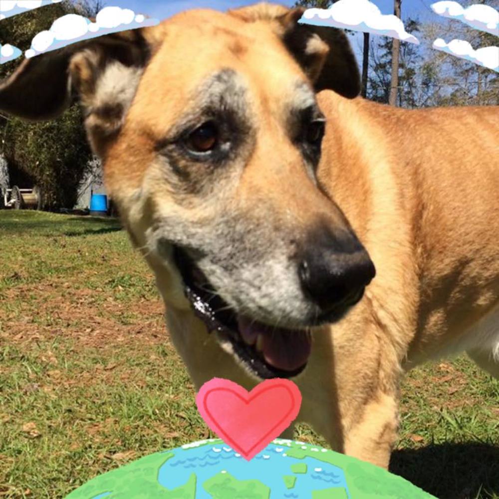 Meet your Posher, Joni